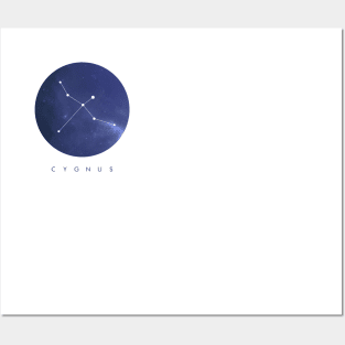 Cygnus Constellation Posters and Art